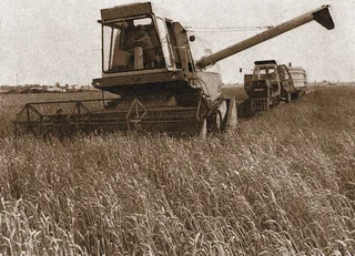 Weizenernte im Jahr 1969