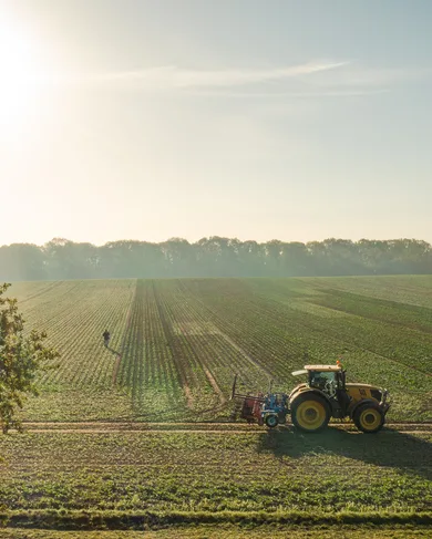 Ein Feld, ein Jahr.